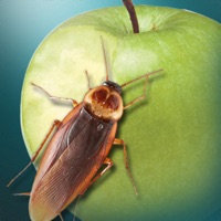 蟑螂模拟器苹果版图标