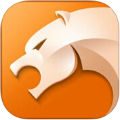 猎豹浏览器 v4.20 iphone版