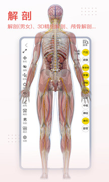 3dbody人体解剖学软件截图2