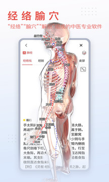 3dbody人体解剖学软件截图1
