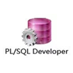 plsql developer14汉化