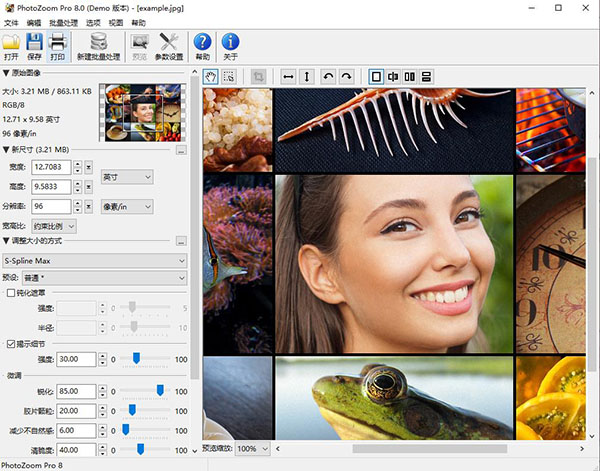 photozoom pro 8文件 附安装教程截图1