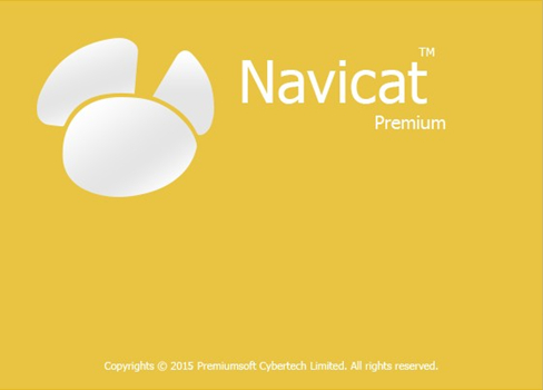 Navicat Premium中文版截图1